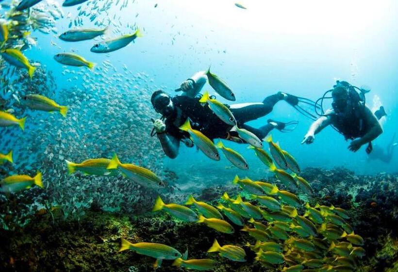 酒店 Devocean Eco Adventure Lodge