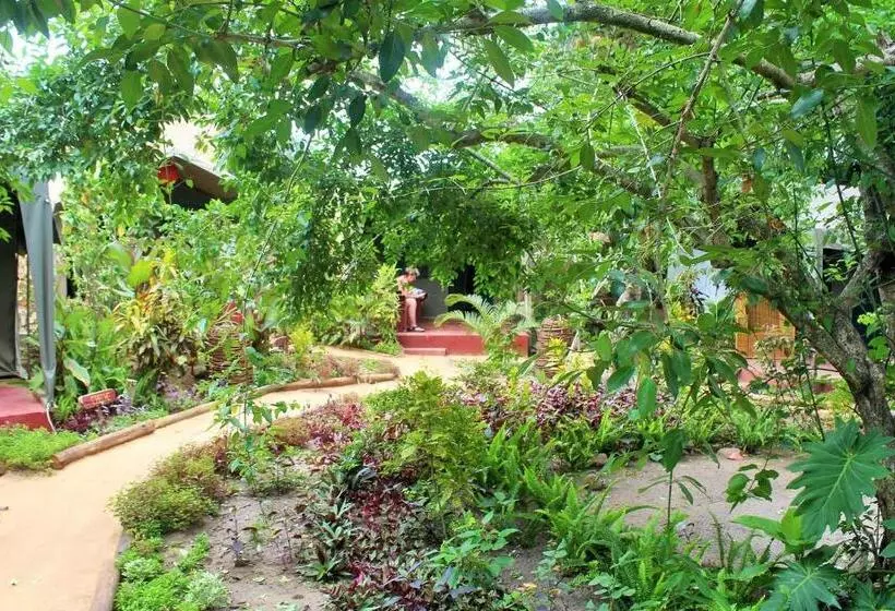 هتل Devocean Eco Adventure Lodge