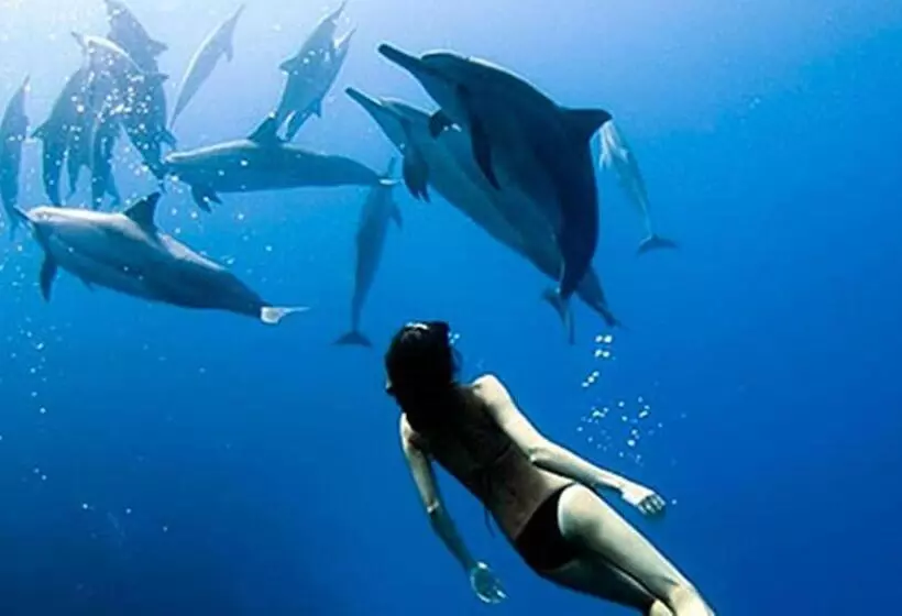 هتل Devocean Eco Adventure Lodge