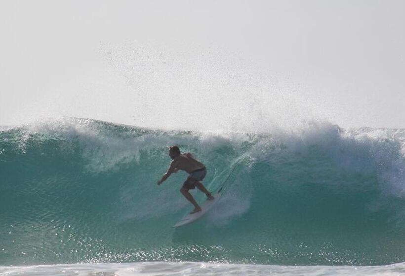 酒店 Devocean Eco Adventure Lodge