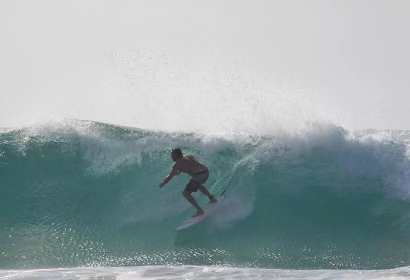 هتل Devocean Eco Adventure Lodge