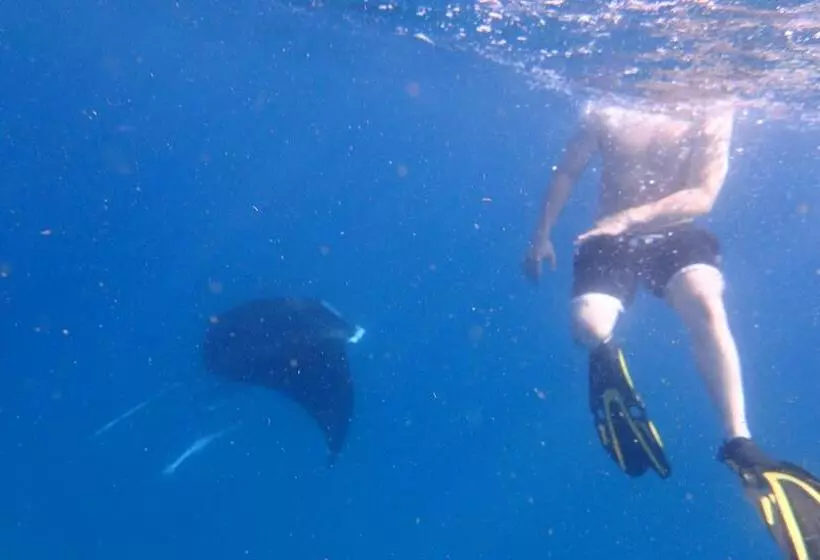 هتل Devocean Eco Adventure Lodge