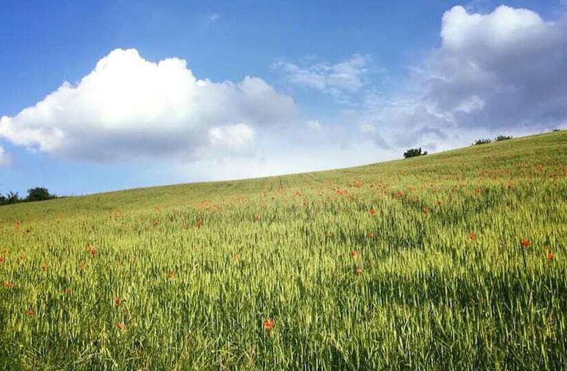 교외 호텔 Agriturismo Antica Torre