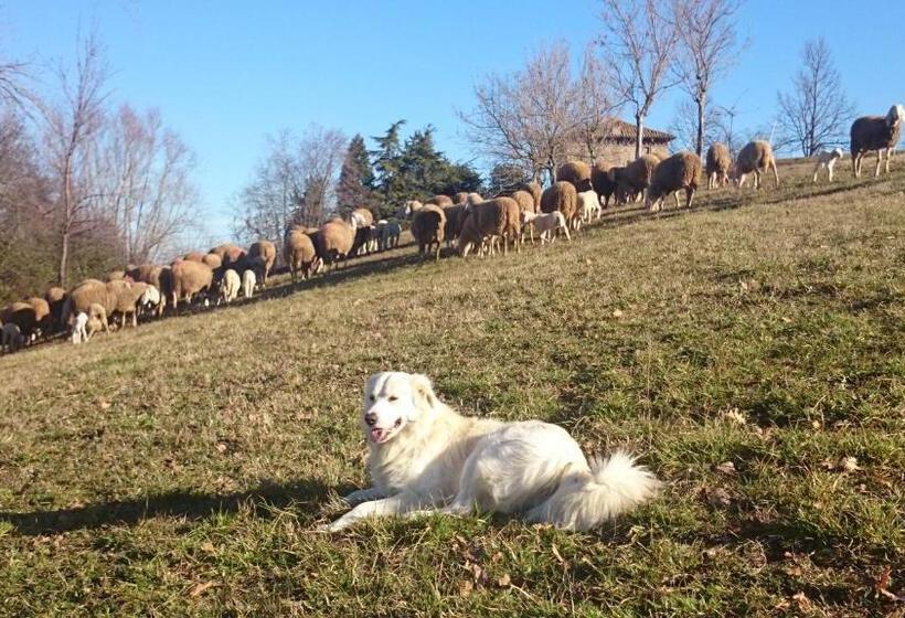 교외 호텔 Agriturismo Antica Torre