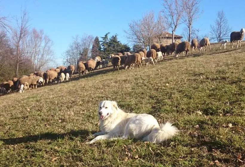 فندق ريفى Agriturismo Antica Torre