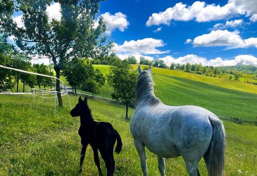 교외 호텔 Agriturismo Antica Torre