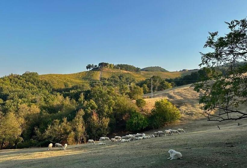 교외 호텔 Agriturismo Antica Torre