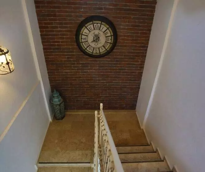 Hotel S3 Orange Exclusive