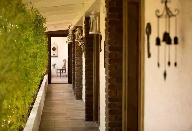 Hotel S3 Orange Exclusive