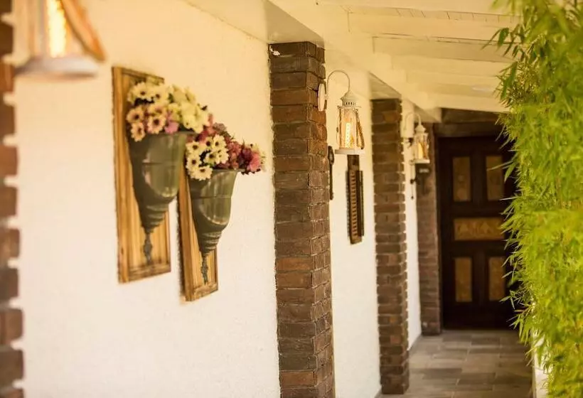 Hotel S3 Orange Exclusive