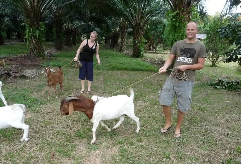 Khaosok Palmview Resort