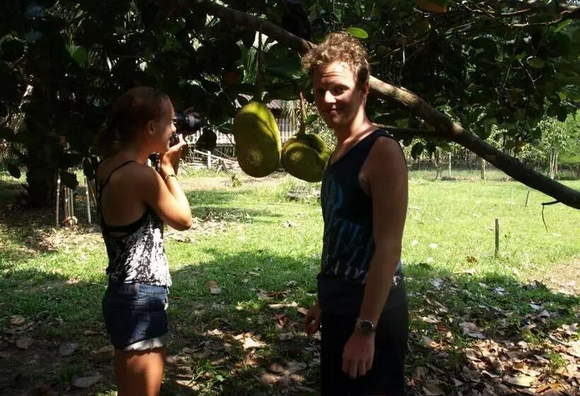 Khaosok Palmview Resort