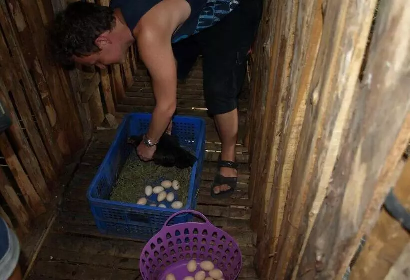 Khaosok Palmview Resort