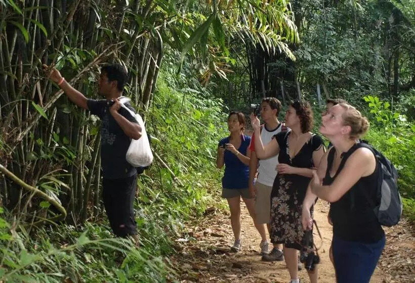 Khaosok Palmview Resort