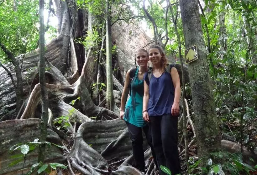 Khaosok Palmview Resort