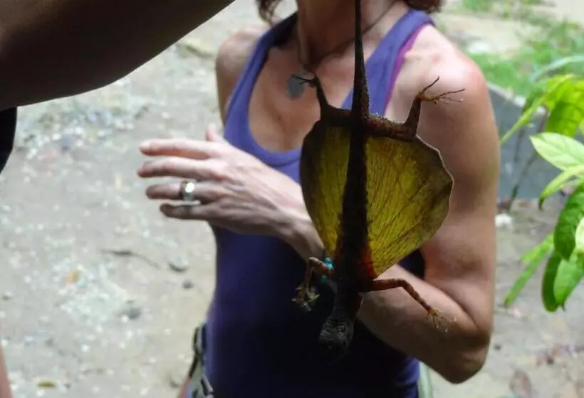 Khaosok Palmview Resort