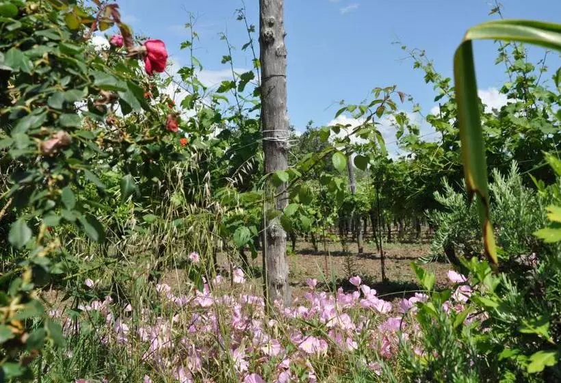 Hotelli Agriturismo Borgo Baldassarre