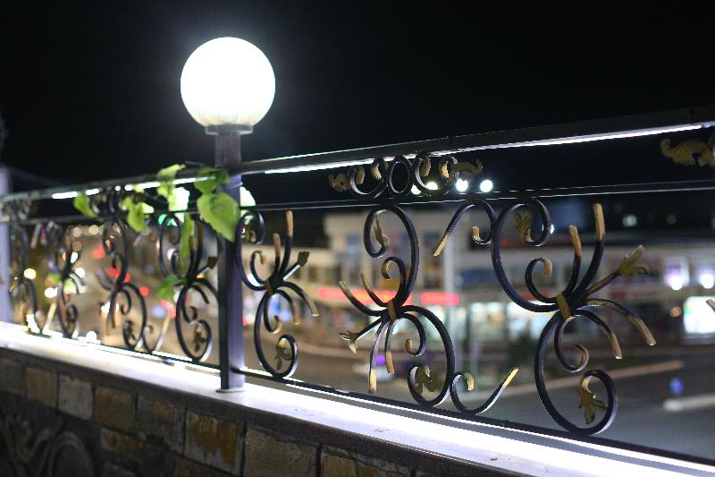 ホテル Golubie Kupala