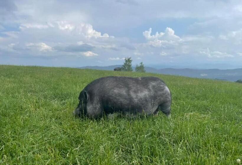 هتل Planinski Dom Janče