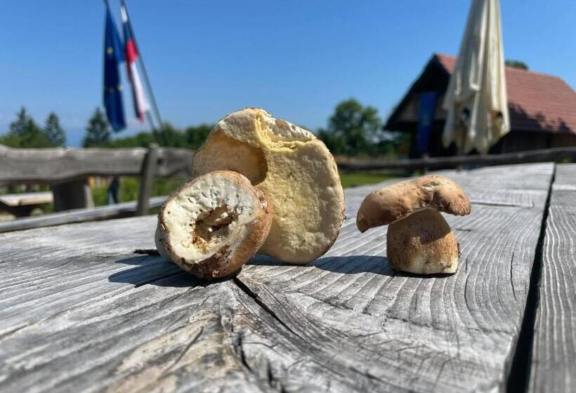 هتل Planinski Dom Janče