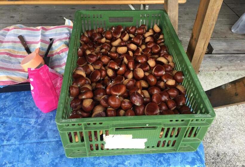 هتل Planinski Dom Janče