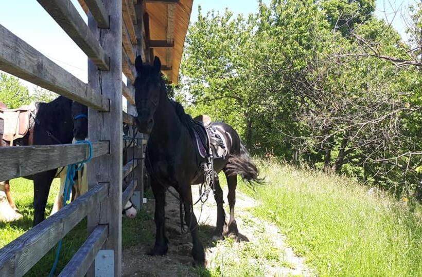 هتل Planinski Dom Janče