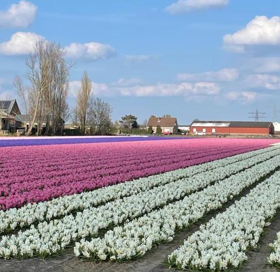 Bed & Breakfast Danina