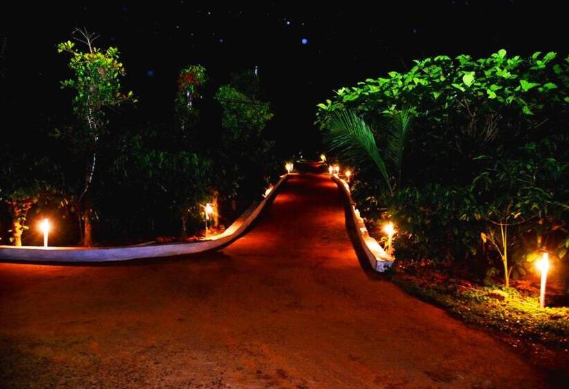 בית מלון כפרי Agastya Lake View Coorg Homestay