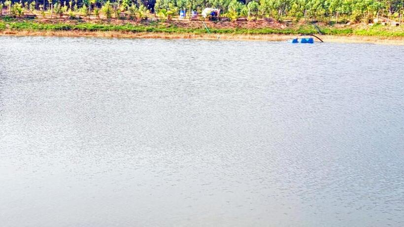 בית מלון כפרי Agastya Lake View Coorg Homestay