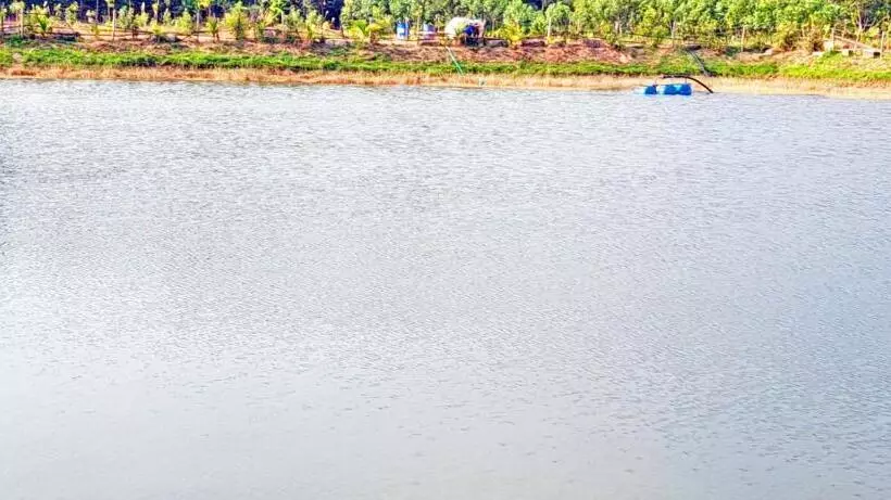 ホテル Agastya Lake View Coorg Homestay