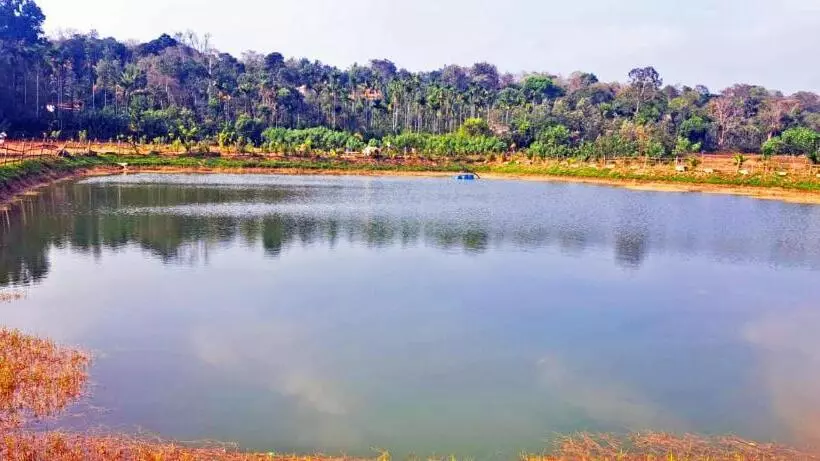 ホテル Agastya Lake View Coorg Homestay