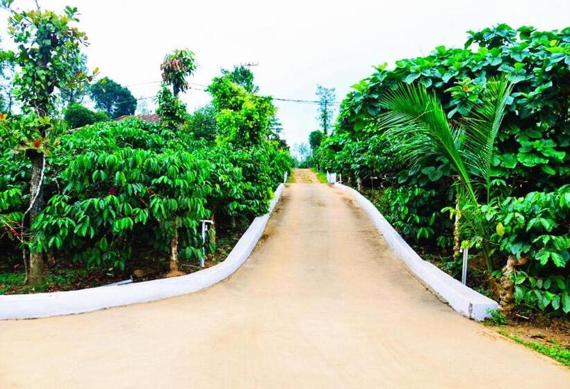 בית מלון כפרי Agastya Lake View Coorg Homestay