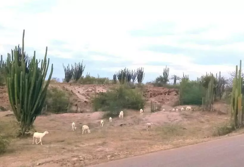 Hotelli Avani Del Desierto