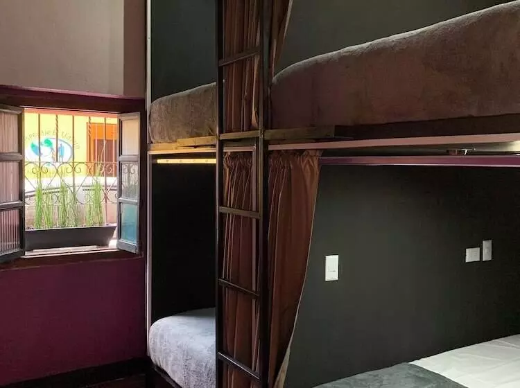 پانسیون One Day Trip Hostel