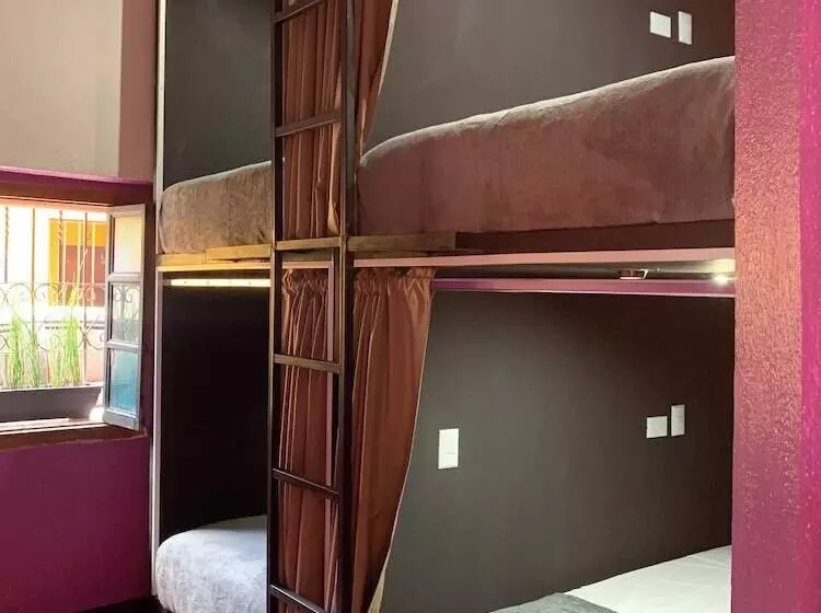 پانسیون One Day Trip Hostel