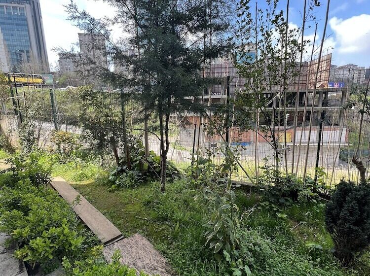 ホテル Near Suites