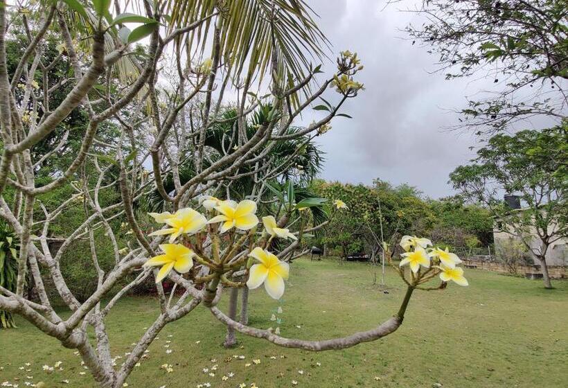 پانسیون Villa Havana Negril