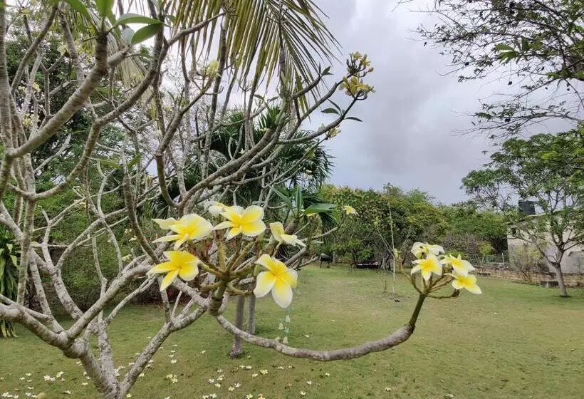 پانسیون Villa Havana Negril