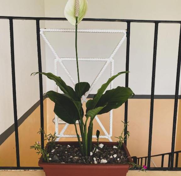 پانسیون Villa Havana Negril