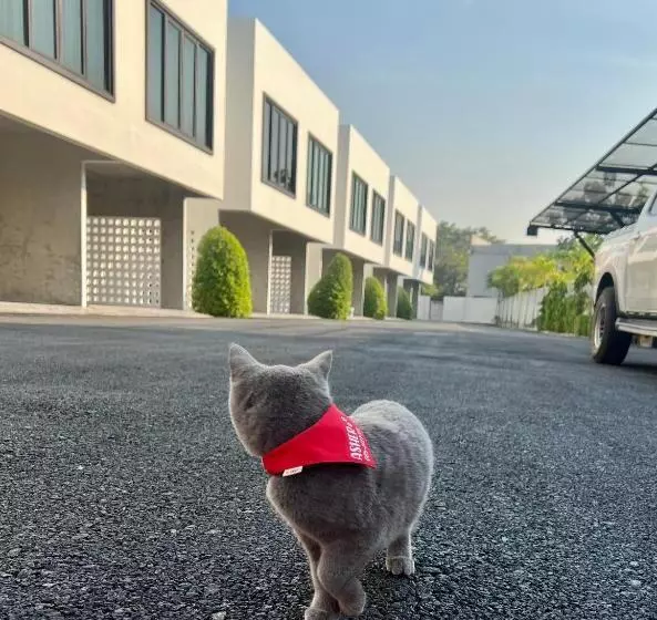 Cicada Hotel Kanchanaburi