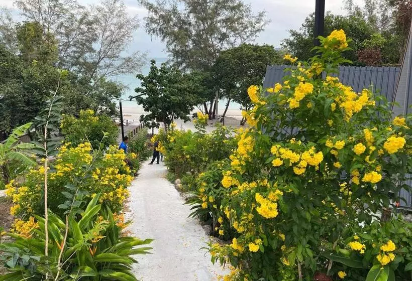 Hotelli Dream Resort