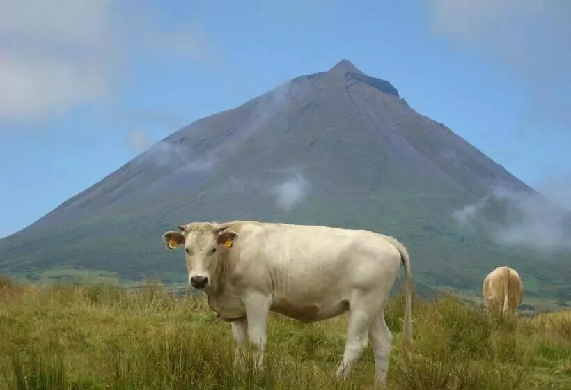Majatalo Casa Da Bicuda