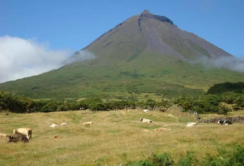 Majatalo Casa Da Bicuda