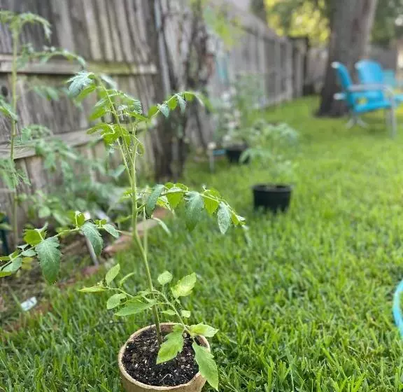 ペンション The Coziest Cottage In Waxahachie
