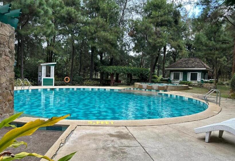 Crosswinds Resort Studio Suite