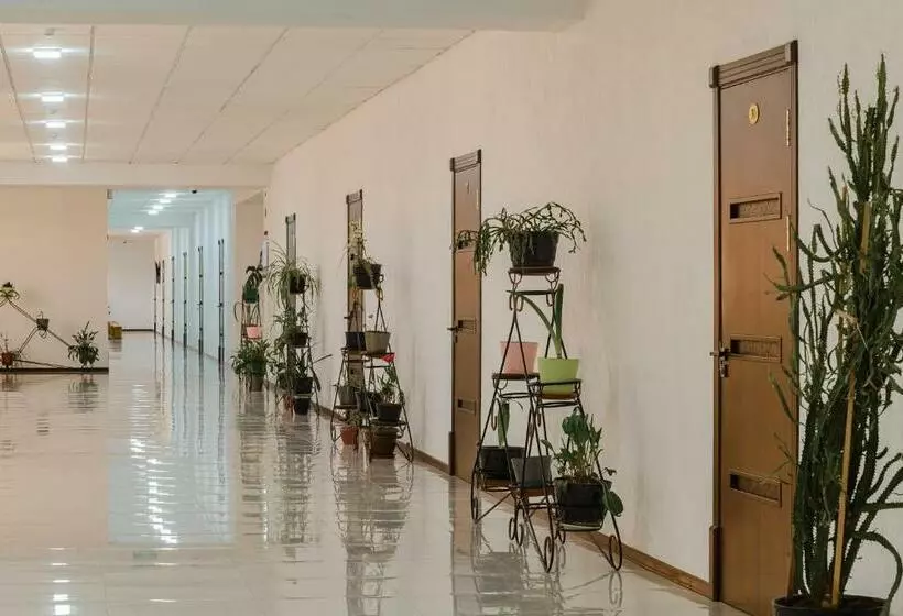 Hostel Shodlik