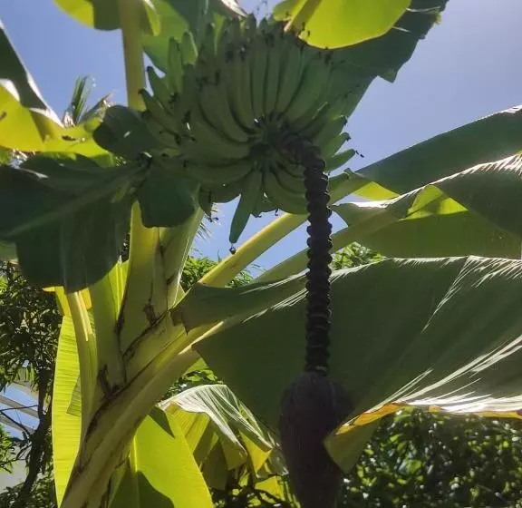 Hotelli Milie Lounge Pousada