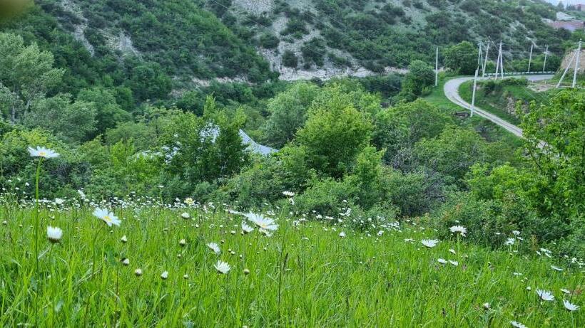 Pensió Budur Guest House