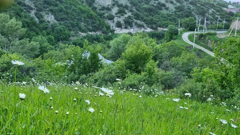 Majatalo Budur Guest House