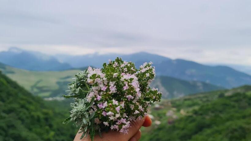 Pensió Budur Guest House